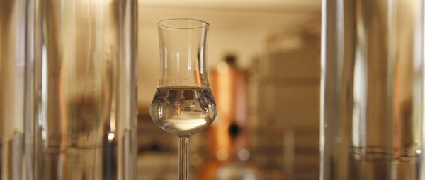Rượu grappa