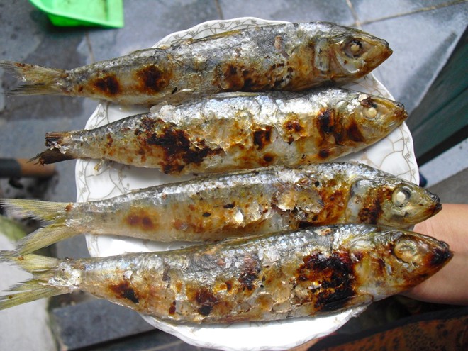 C&aacute; tr&iacute;ch nướng