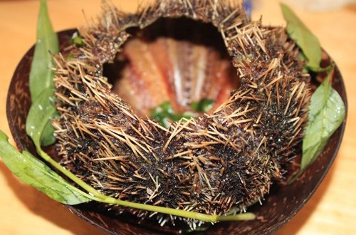 Nhum Ph&uacute; Quốc