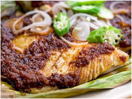 C&aacute; đuối Sambal