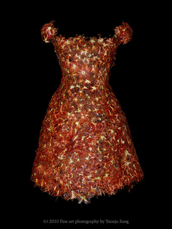 váy ẩm thực