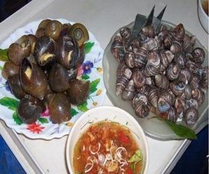 ốc